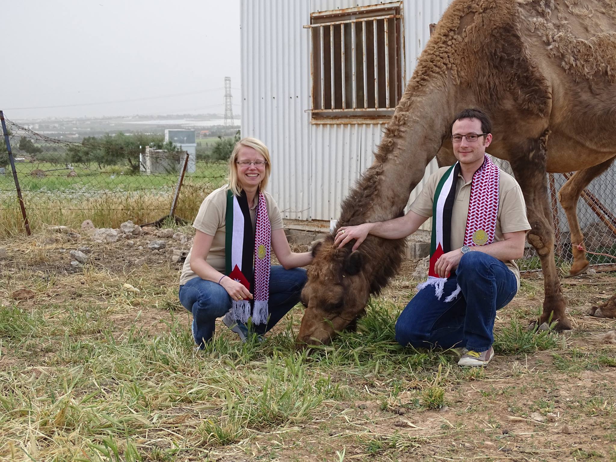 Getriebesand - AOR Sieger 2014 besuchen ihr Kamel